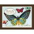 Cavallini-doosje met 24 retro magneten-vlinders-2558