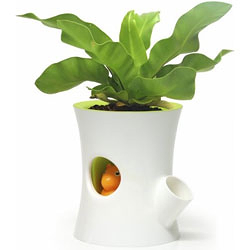 origineel bloempotje met waterreservoir-log en squirrel wit-3584 Qualy-origineel bloempotje met waterreservoir-log en squirrel wit-3584