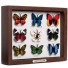 Monkey Business-UITVERKOCHT set van 9 kleurrijke vlinder spijkers-butterfly-3859