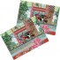 Miho-set kleurrijke placemats-baquette-5151
