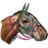 Miho-grote racepaard paardenkop Eola-eola-5812