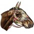 Miho-grote racepaard paardenkop Viper-viper-5813