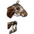 Miho-grote racepaard trofee Alexander-alexander-5817