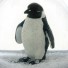 Klevering-mooie sneeuw schudbol pinguin-pinguin-7553