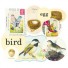 Cavallini-doosje met retro stickers-vogels-2550