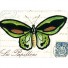 Cavallini-doosje met 24 retro magneten-vlinders-2558