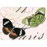 Cavallini-coffret de 24 magnets rétro-vlinders-2558
