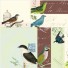 Cavallini-lot de 480 stickers mémo-vogels-2545