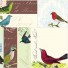 Cavallini-lot de 480 stickers mémo-vogels-2545