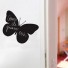 Cocoboheme-sticker mural / ardoise papillon-vlinder-2457