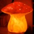 Heico-lampe décoration champignon-vliegezwam groen-372