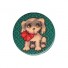 Kers op de kaart-UITVERKOCHT hippe retro badge-hondje-2785