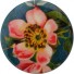 Froy en Dind-hippe retro badge-roze bloem-2786