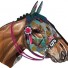 Miho-grote racepaard trofee Enfant Terrible-enfant terrible-5816