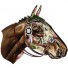 Miho-grote racepaard trofee Alexander-alexander-5817