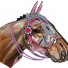 Miho-grote racepaard trofee Dakota-dakota-5818