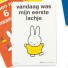 Milestone-milestone baby cards - nijntje nederlands-baby kaarten 1ste jaar - nijntje nederlands-8468