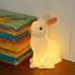 Rex-schattig nachtlampje konijn-haasje wit-6084